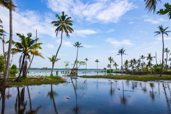 ayurveda in kerala