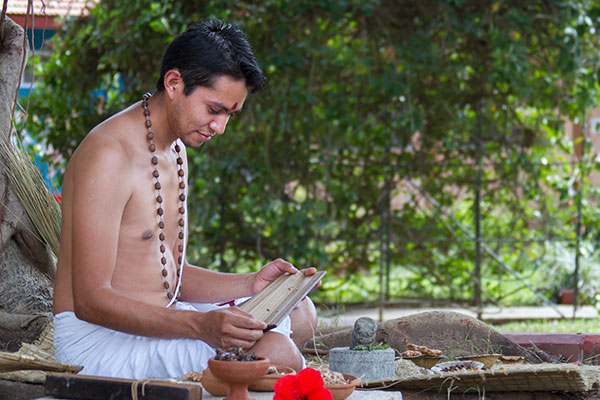 ayurveda wellness and treatments