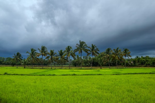 best time to visit alleppey